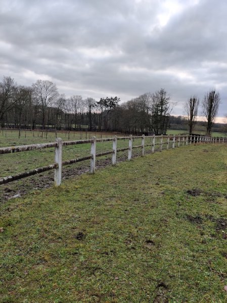 Ecuries du Manoir - photo 1