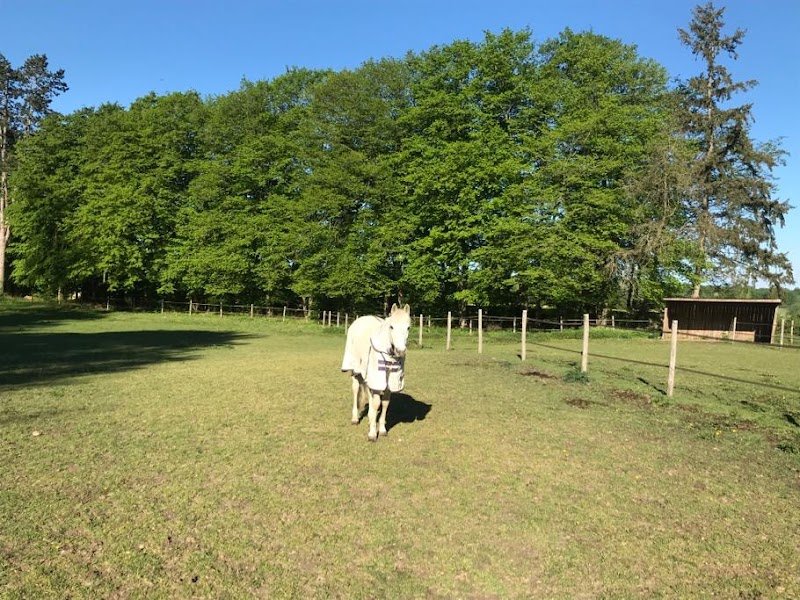 Ecuries du Manoir - photo 2