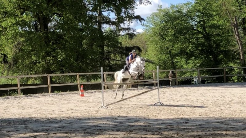 Ecuries du Manoir - photo 3