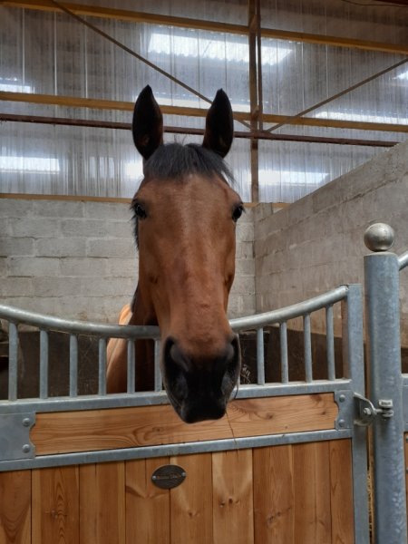 Le Haras du Prélude - photo 1