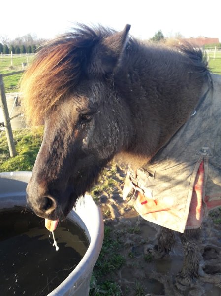 Le Haras du Prélude - photo 2