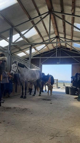 DOMAINE EQUESTRE DE HAUTE MAISON - photo 2