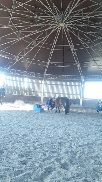 DOMAINE EQUESTRE DE HAUTE MAISON - photo 3