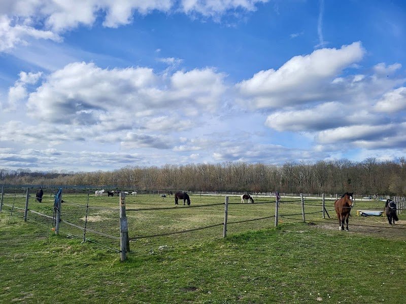 Poney Club de la Commanderie - photo 2