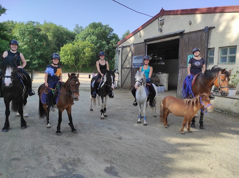 Poney-Club de Busseau - photo 2