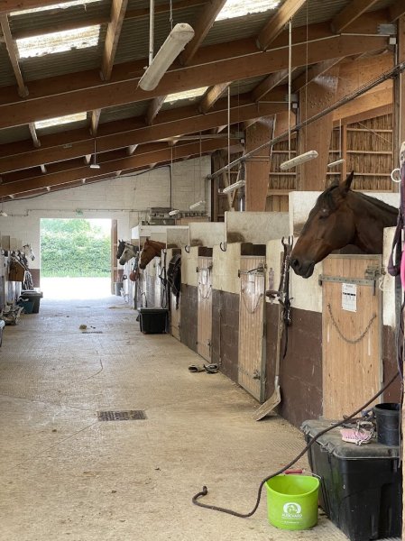 Les Ecuries De Rutel - photo 1