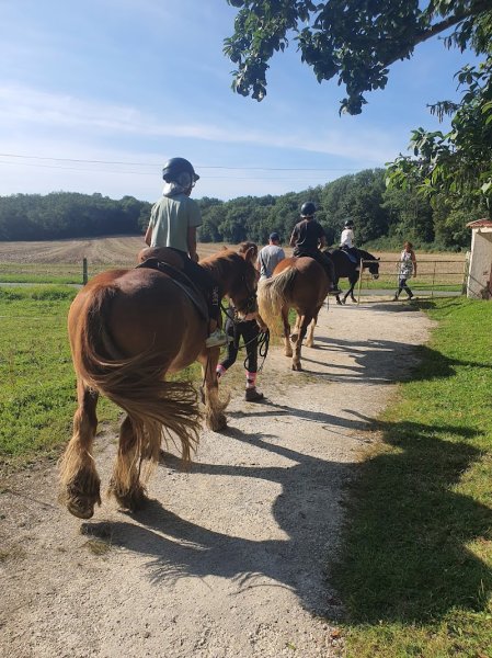 Haras du Diamantnoir - photo 1