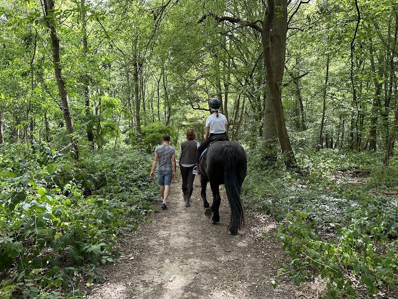 Haras du Diamantnoir - photo 2