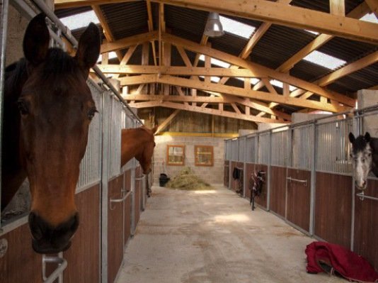 Écuries et poney club de Boutigny - photo 3