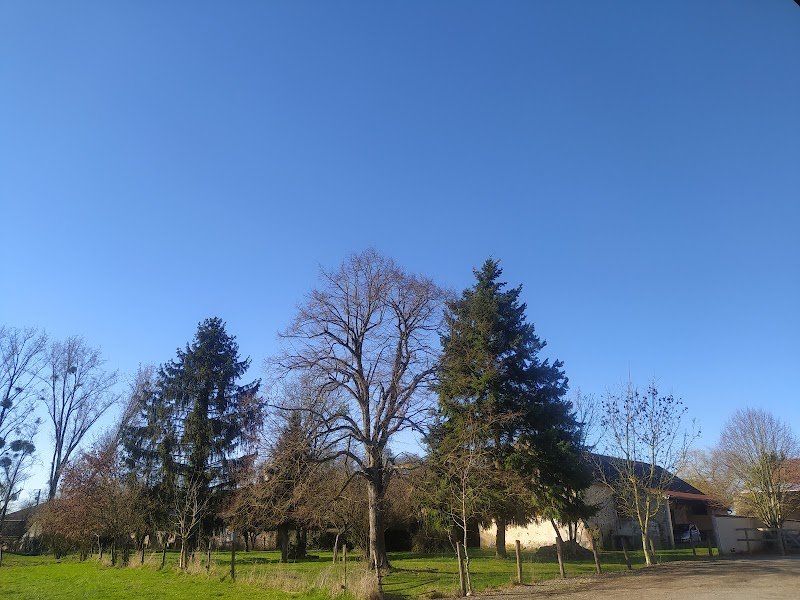 ECURIE MANON ET DIOGO PINTO