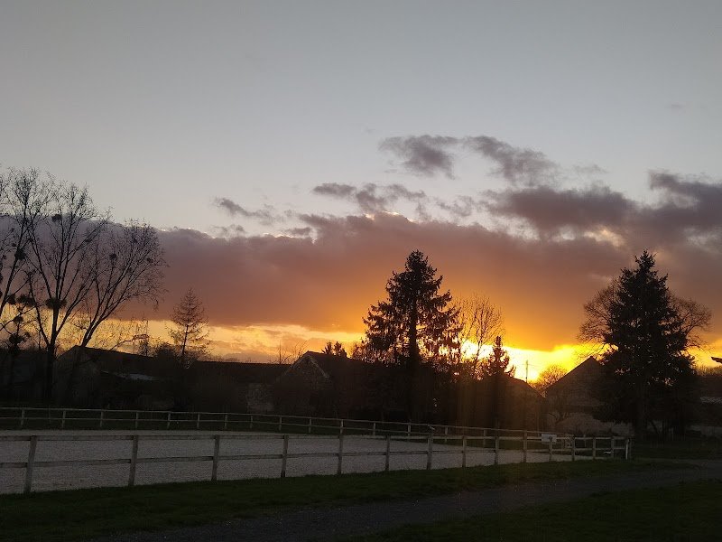 ECURIE MANON ET DIOGO PINTO - photo 2