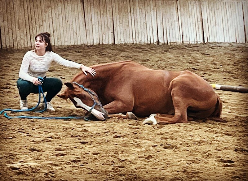 Haras de Sancy - photo 1