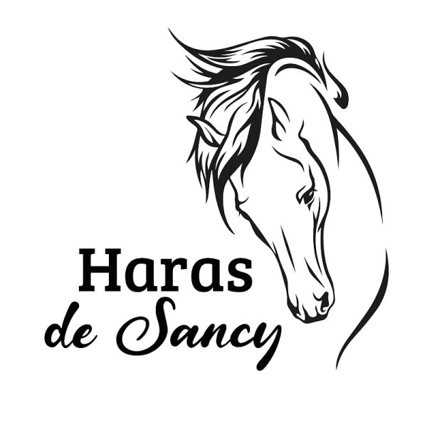Haras de Sancy - photo 2