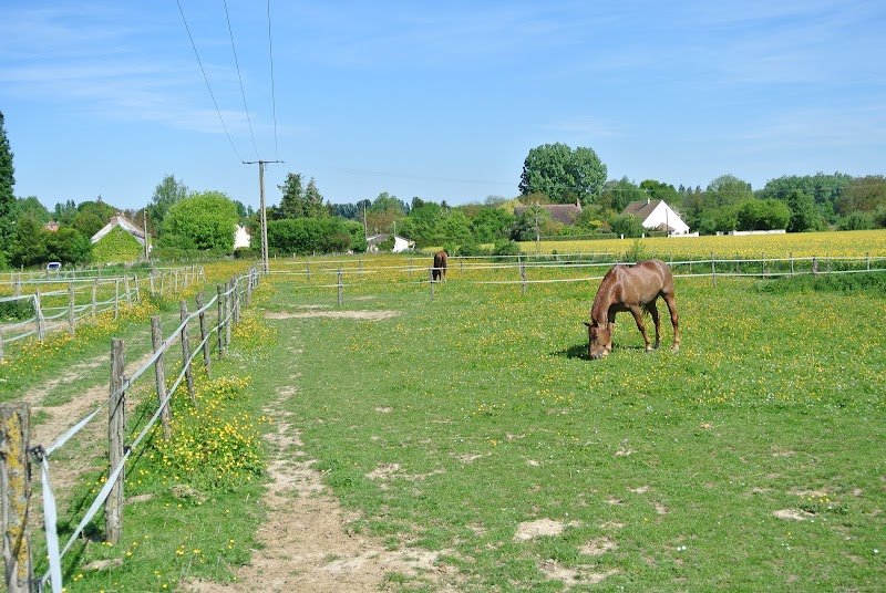 Les Ecuries de Romandine - photo 3