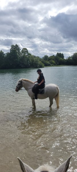 Centre Équestre Equi loisirs - photo 1