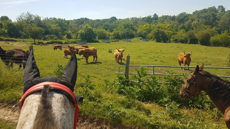 Centre Équestre Equi loisirs - photo 2