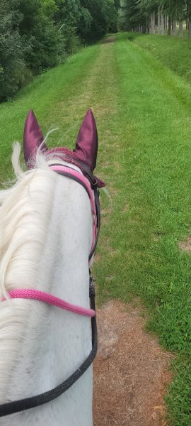 Centre Équestre Equi loisirs - photo 3