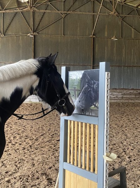 Les Écuries De Cossigny - photo 2