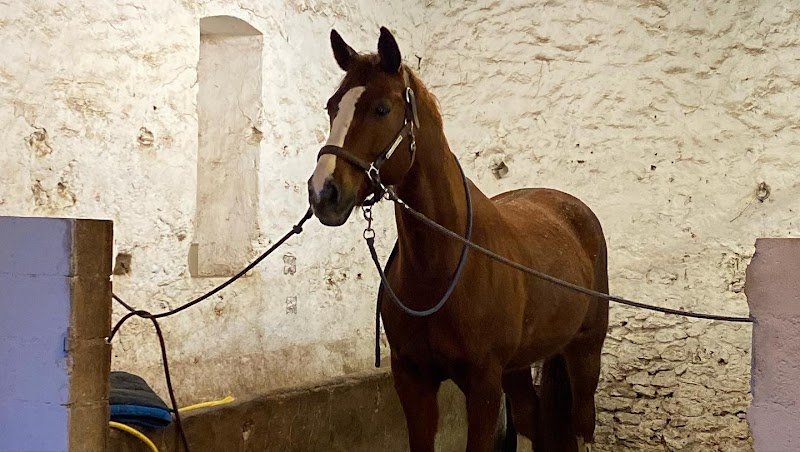 Les Écuries De Cossigny - photo 3