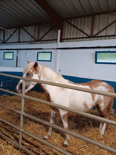 Club Hippique de Meaux