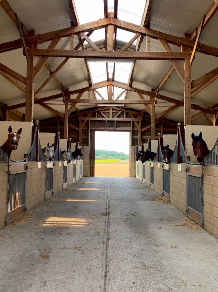 Haras de Galarza - photo 2