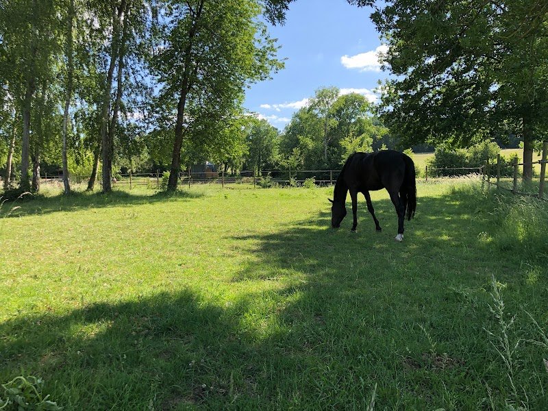 Haras de Galarza - photo 3