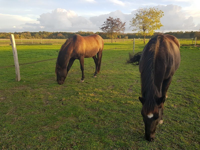 Ecurie Cristalline - photo 1