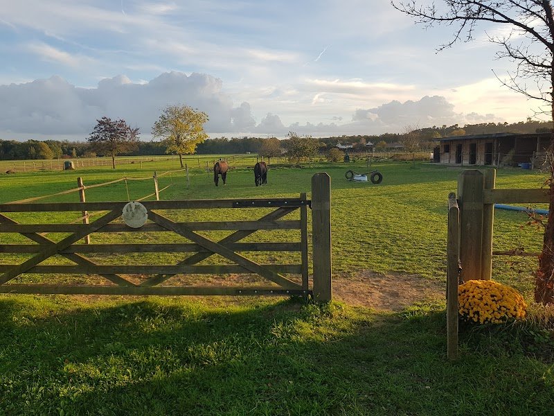 Ecurie Cristalline - photo 2