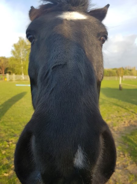 Ecurie Cristalline - photo 3