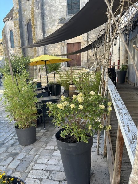 Le Cheval blanc - photo 3