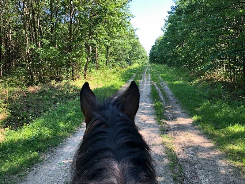 Les écuries de Hautefeuille - photo 2