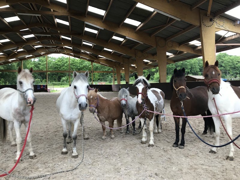 Écurie de l’Hélix