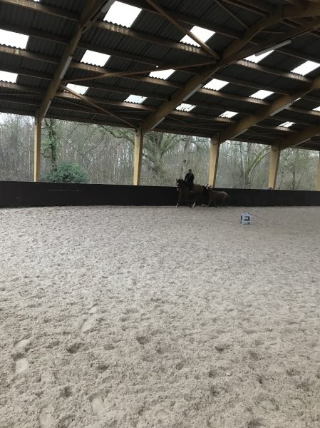 Écurie de l’Hélix - photo 3