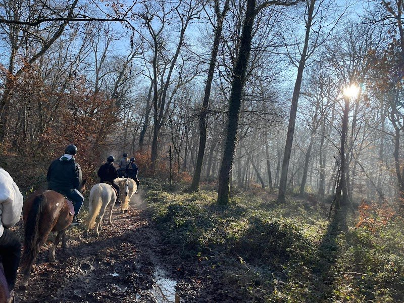 Des sabots dans la forêt - Balades à cheval à Fontainebleau - photo 3