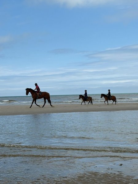 Haras de bois fermé - photo 1