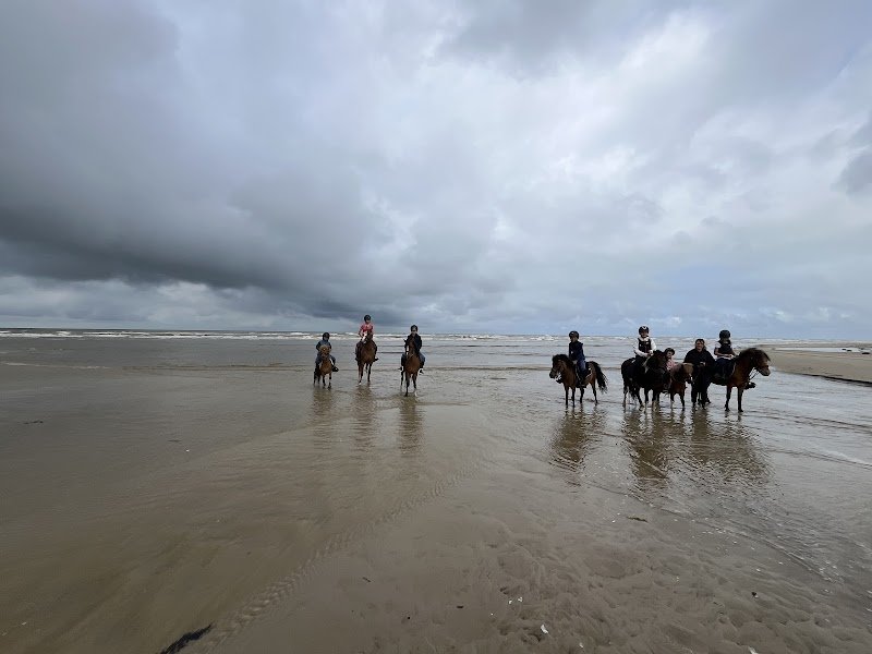 Haras de bois fermé - photo 2