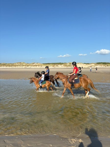 Haras de bois fermé - photo 3