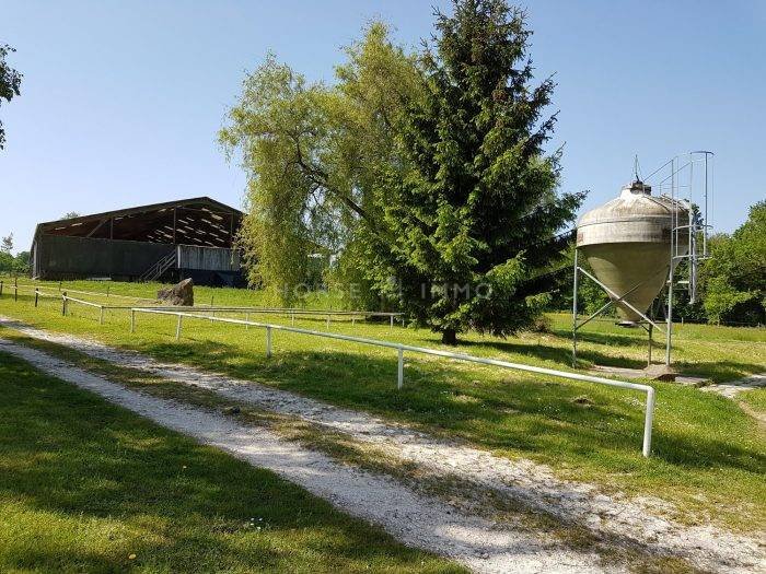 haras de beautheil saints - photo 1