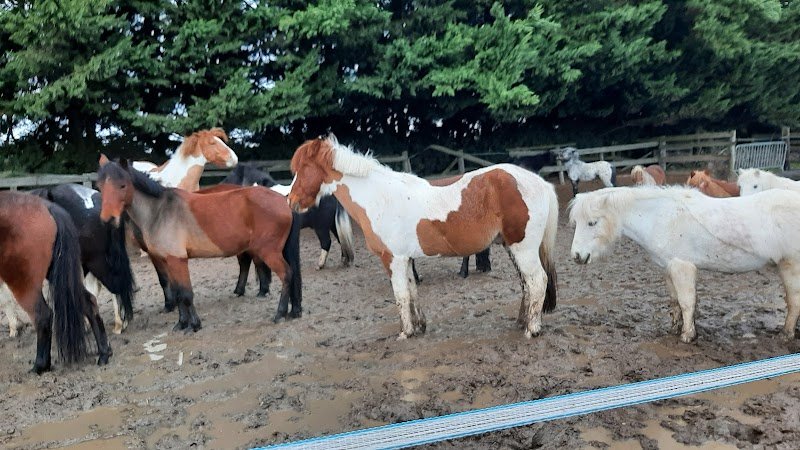 Centre équestre Le Cheyenne - photo 1