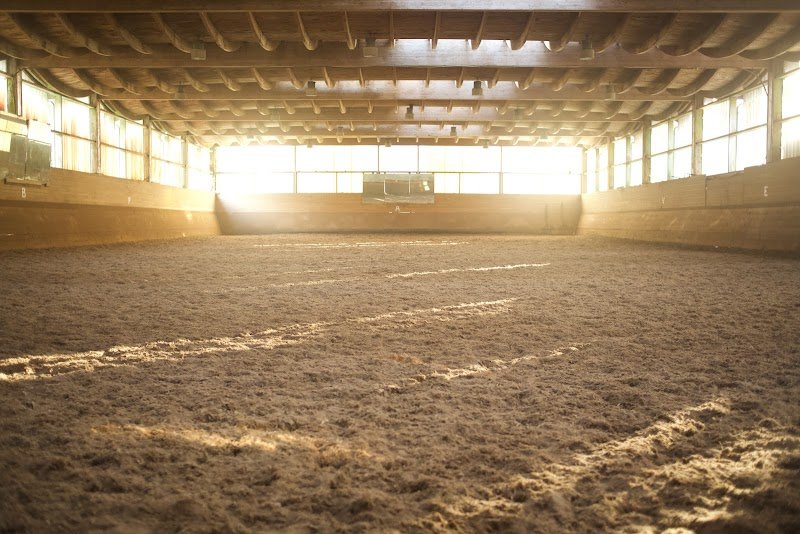 Écuries Alpha Pegasi - photo 2