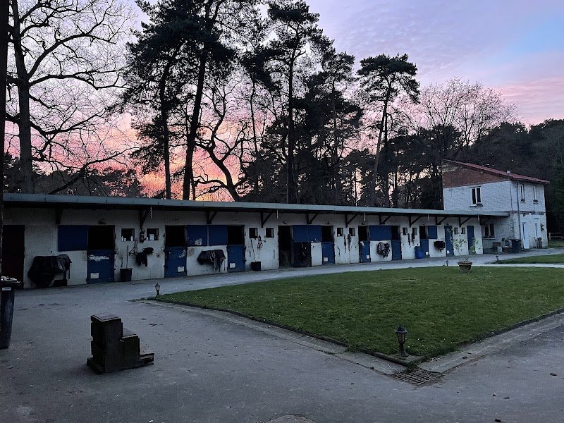 M.R. HORSES - photo 3