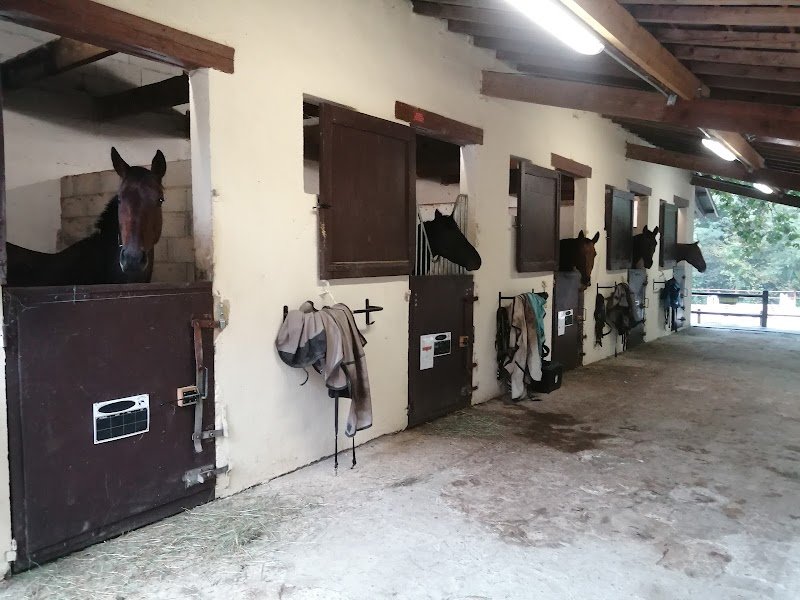 Écurie de la Colombe - photo 3