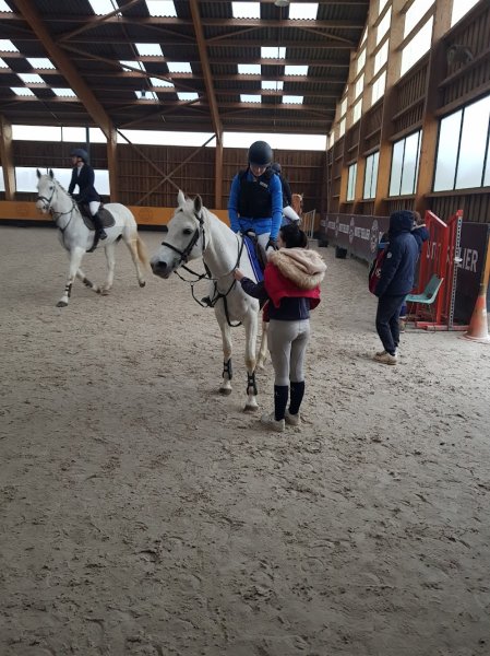 Haras de liverdy - photo 2