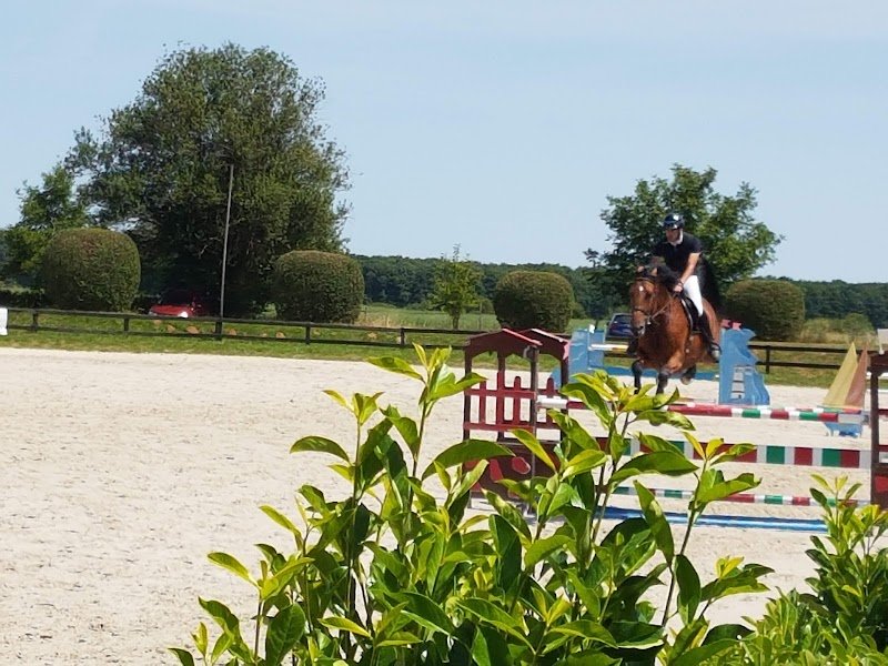 Haras de liverdy - photo 3