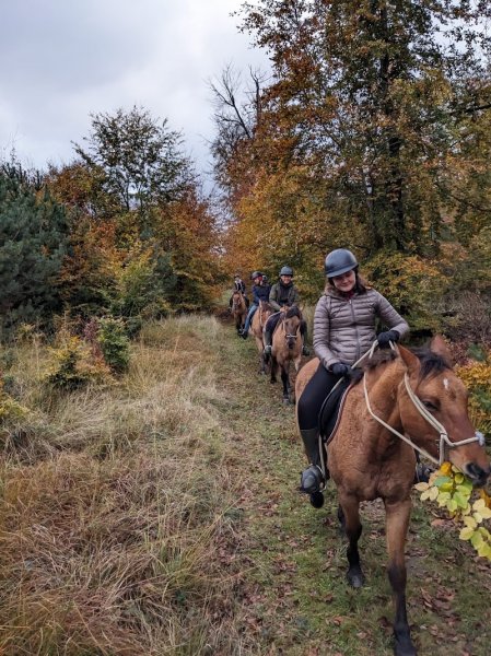 Henson Pays de Fontainebleau - Balades à cheval - photo 3