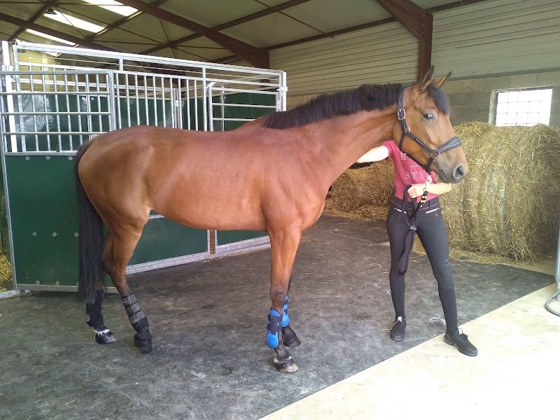 Ecurie Toulzac Tds - photo 3