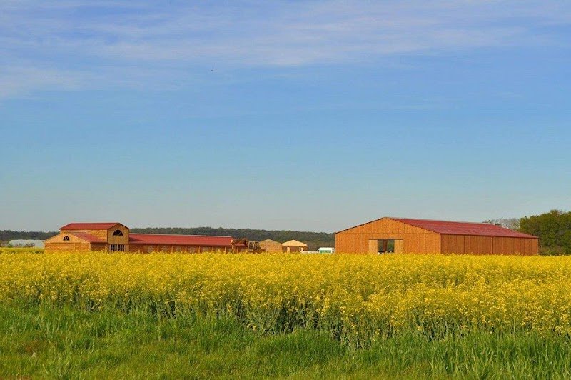 Centre Equestre La Chardonnière - photo 1