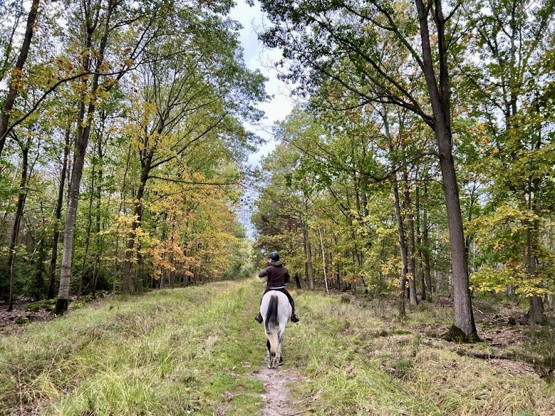 Centre équestre de Soisy-sur-Seine : Ecurie de La Guérinière - photo 3