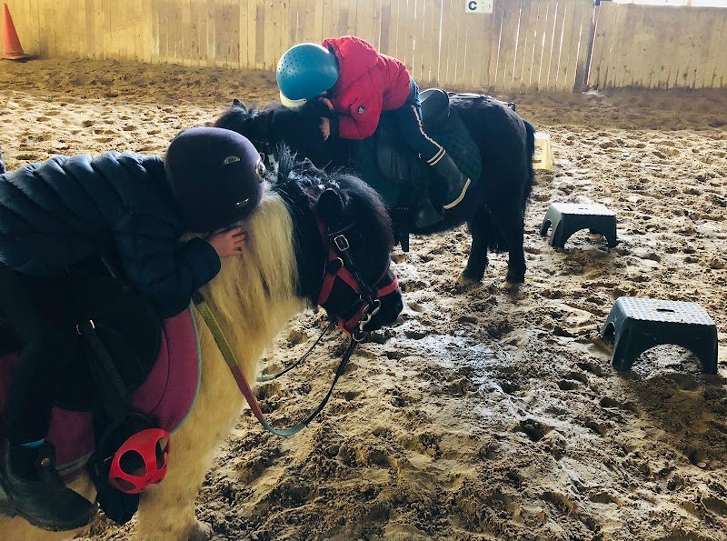 Centre équestre écurie des champeaux - photo 2