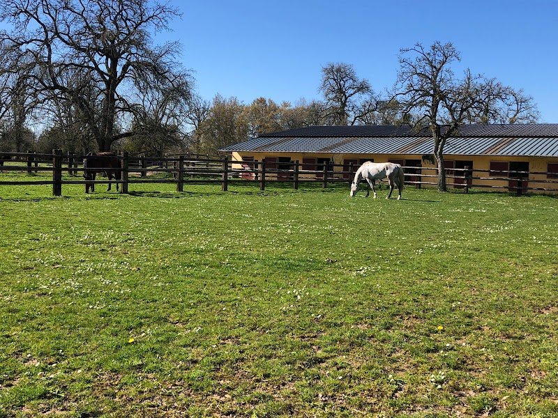 Centre équestre écurie des champeaux - photo 3